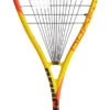 Prince Phoenix Elite 700 Squash Racquet -Head Store prince phoenix elite 700 squash racquet 68524 61552.1698772310
