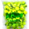 Prince Trainer Tennis Balls 60 Pack 1 Prince Trainer Tennis Balls 60 Pack -Head Store prince trainer tennis balls 60 pack 91684 95261.1698770299