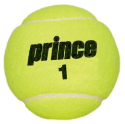 Prince Championship Tennis Balls Dozen -Head Store prince championship tennis balls dozen ball 49958 29195.1698770640
