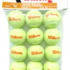 Wilson Starter Orange Tennis Balls Dozen -Head Store wilson starter orange balls dozen 40267 83813.1698769438