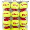 Wilson Starter Red Tennis Balls Dozen -Head Store wilson starter red tennis balls dozen 17281 09835.1698769436